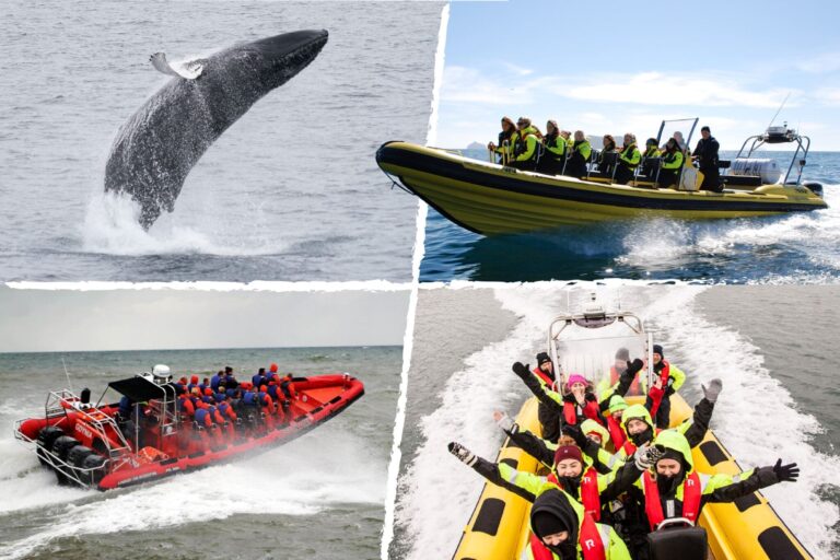 Walvissen spotten vanuit het centrum van Reykjavik met RIB Speedboat