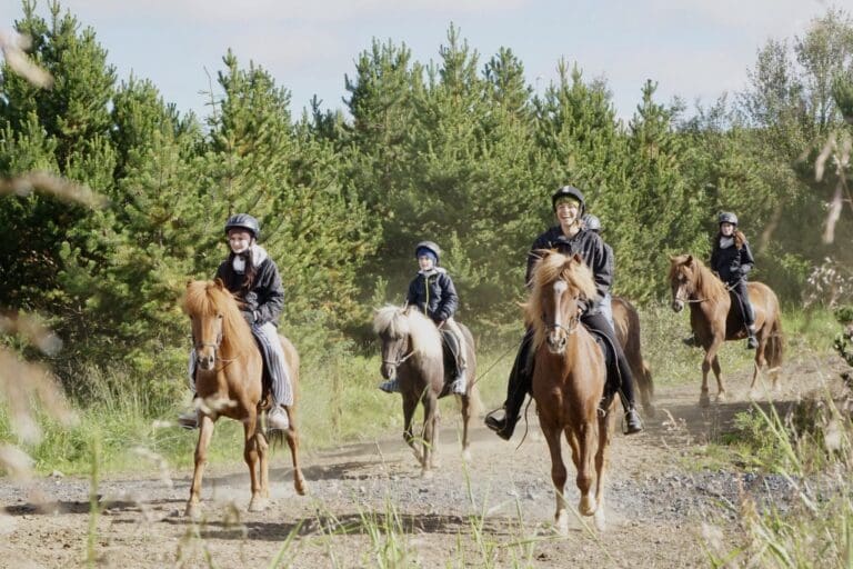 Á beiðni: 1 Hours Private Family Tour