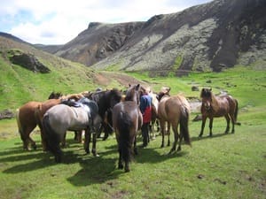 Volcano Tour 2022 (4 Days)