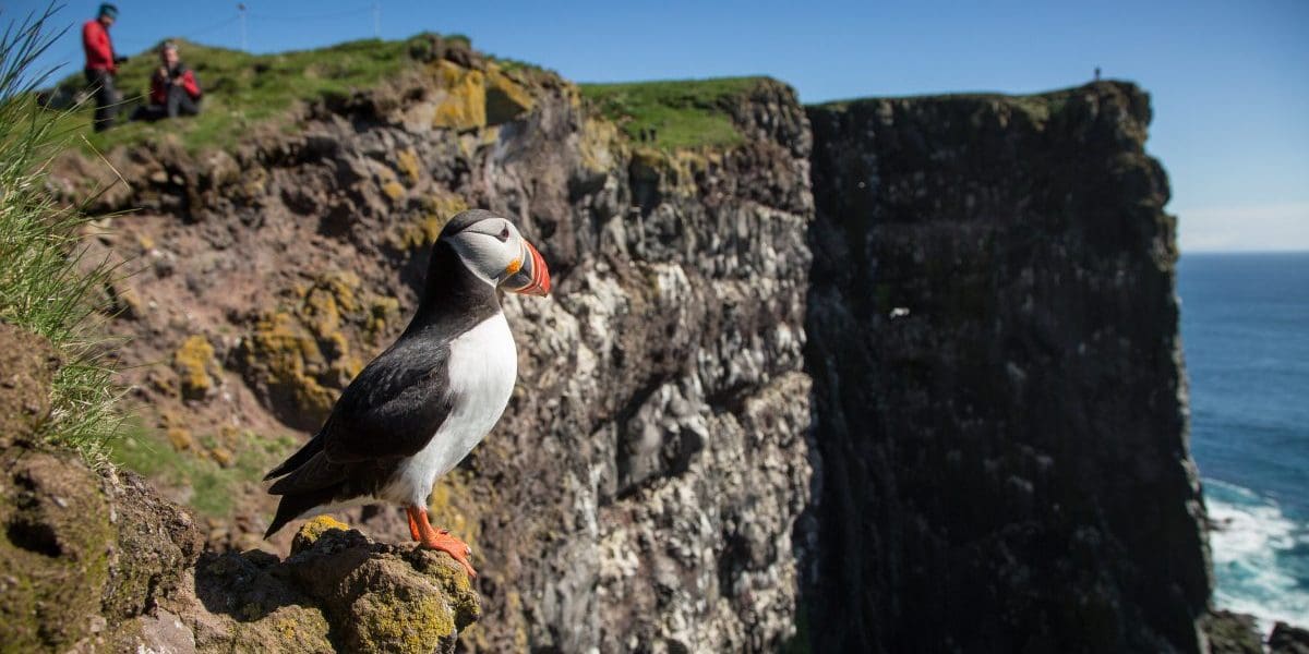 14-Day Iceland Self-drive Tour | Around Wild Iceland
