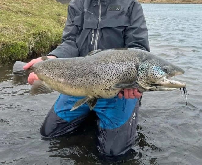 Private Fly Fishing Day Tour for Big Brown Trout – West Rangá Trout Beat