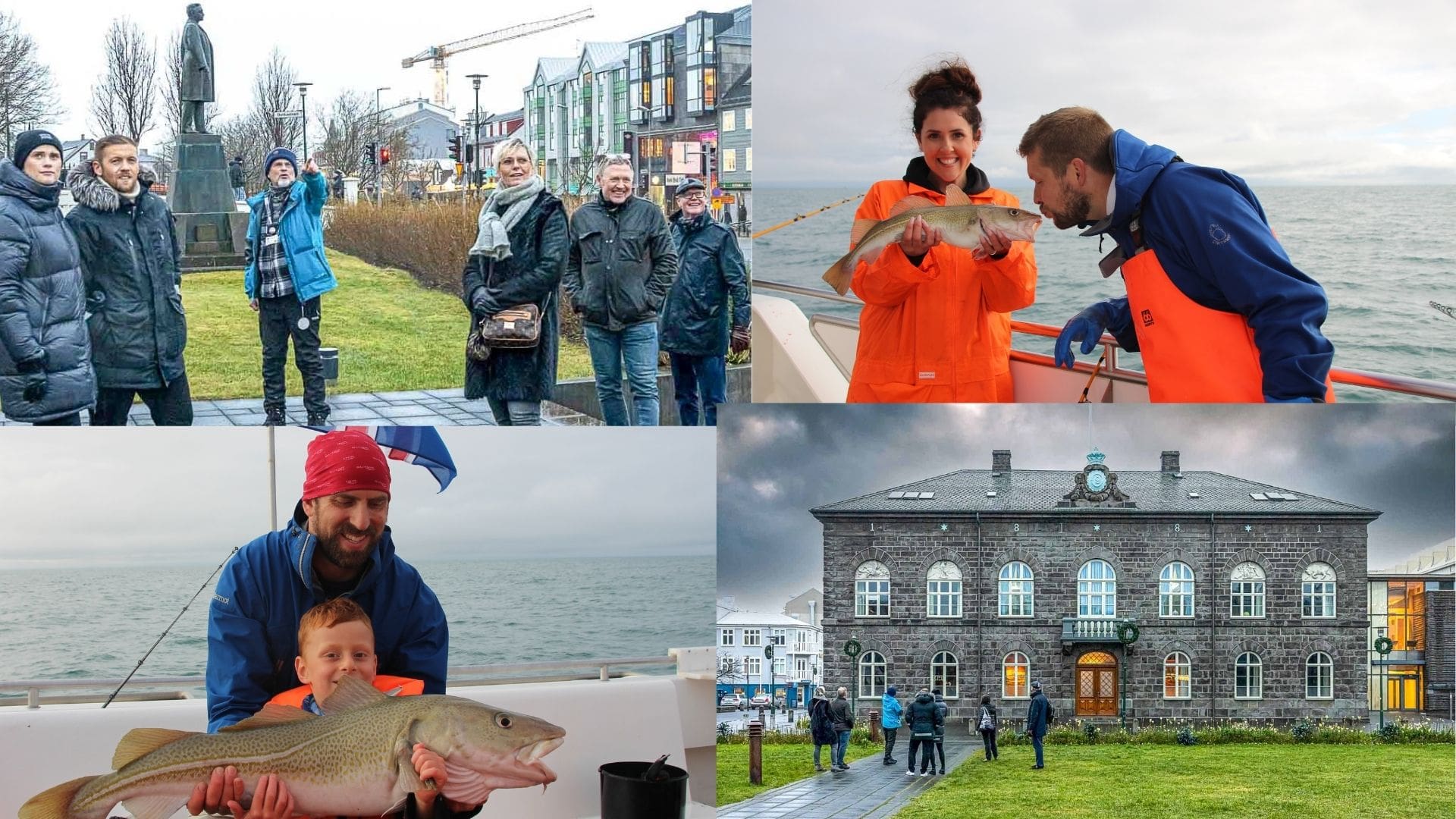 Reykjavik City Walk and Sea Angling