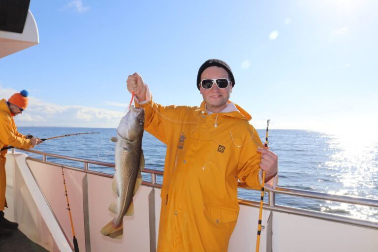 Whales & Sea Angling