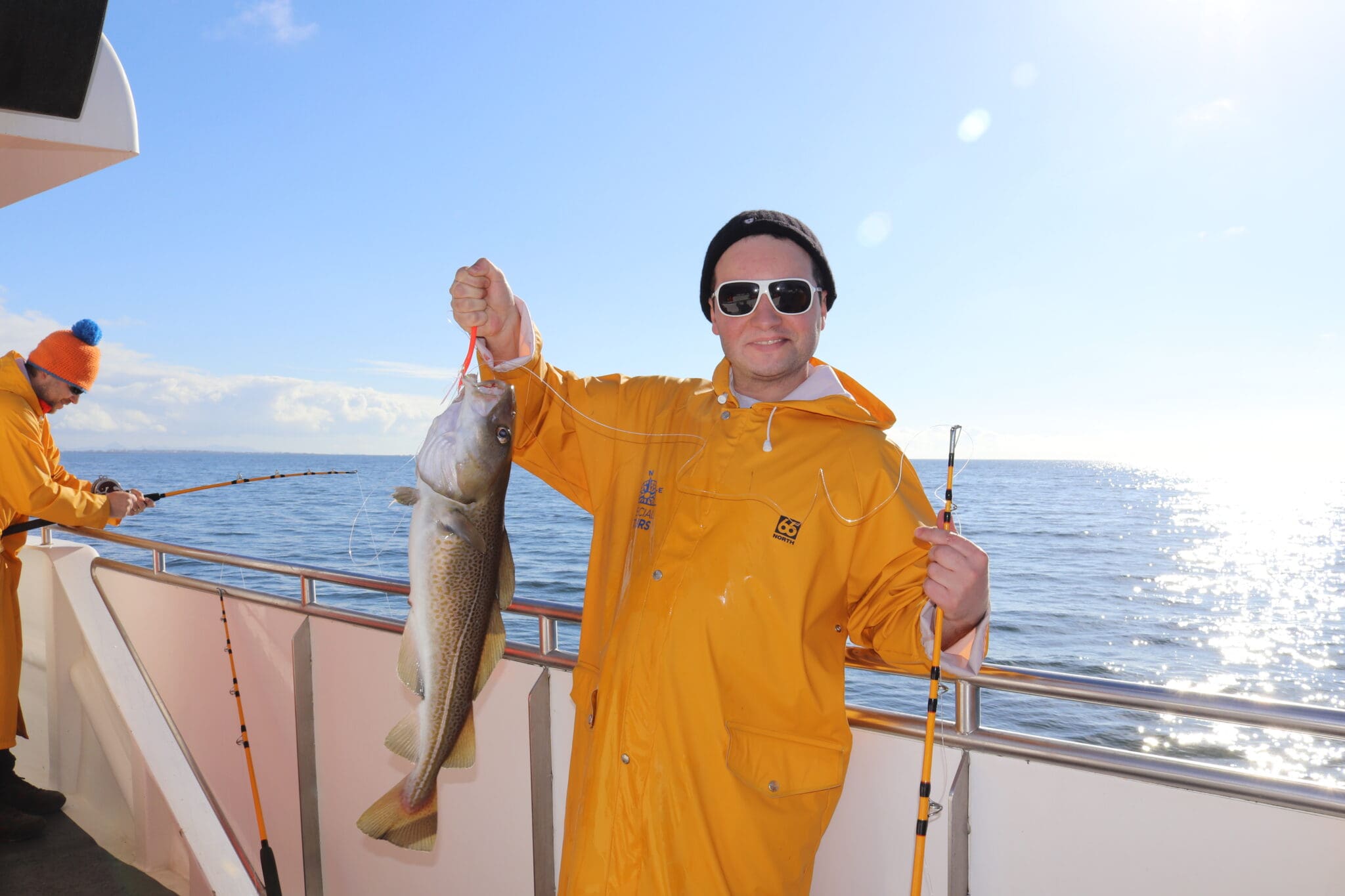 Whales & Sea Angling