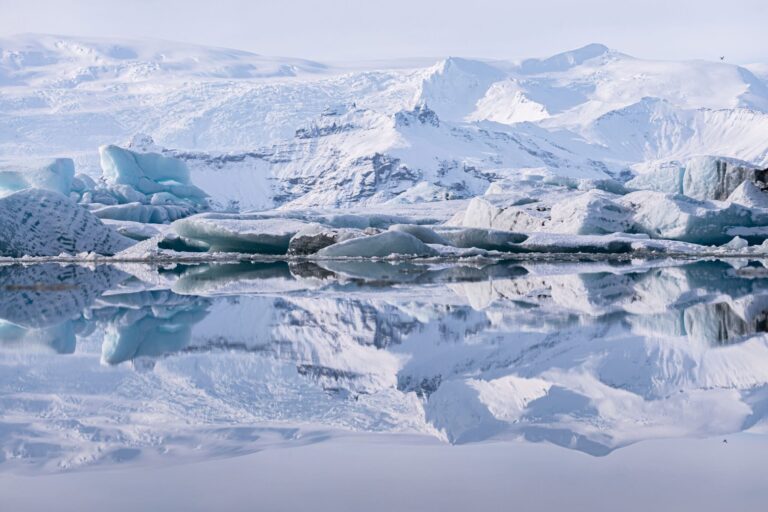 DT 11 Jökulsárlón Day Tour