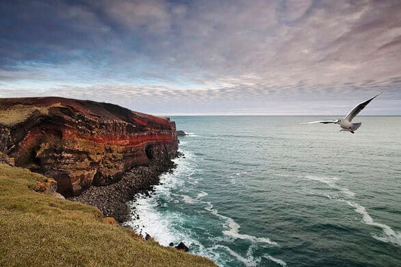 The Diamond Tour by Minibus