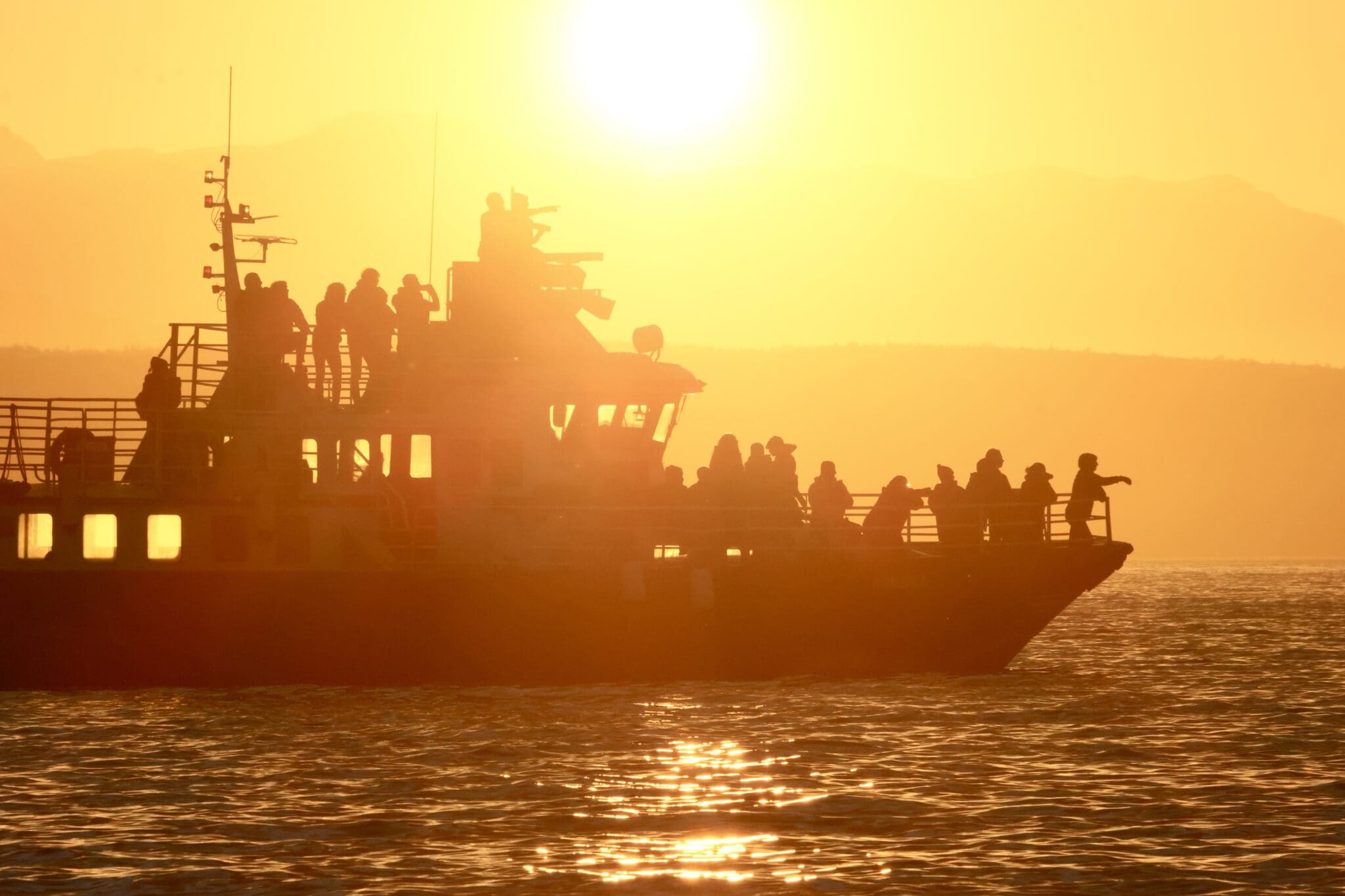 Akureyri Classic Whales in the Midnight Sun