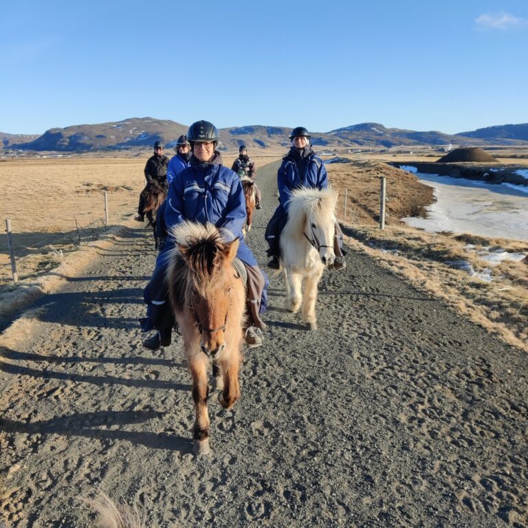04B Le cheval de mer