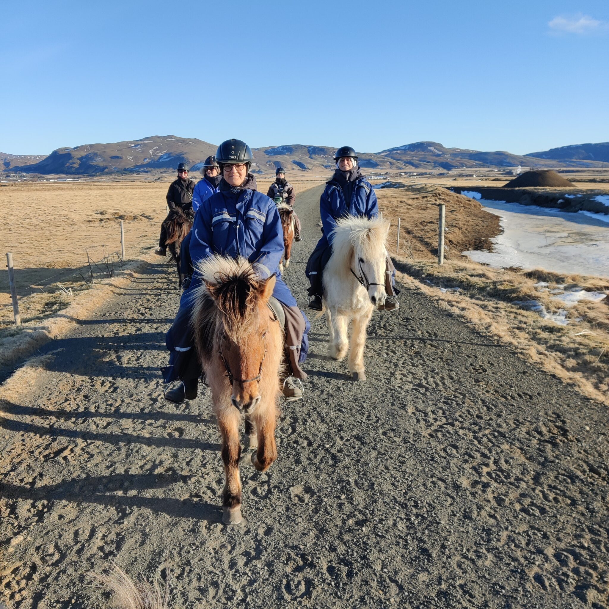 04B Le cheval de mer