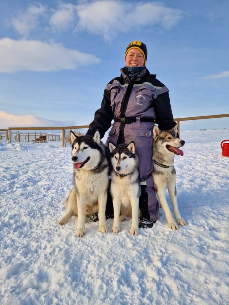 Siberische Husky Kennel Bezoek
