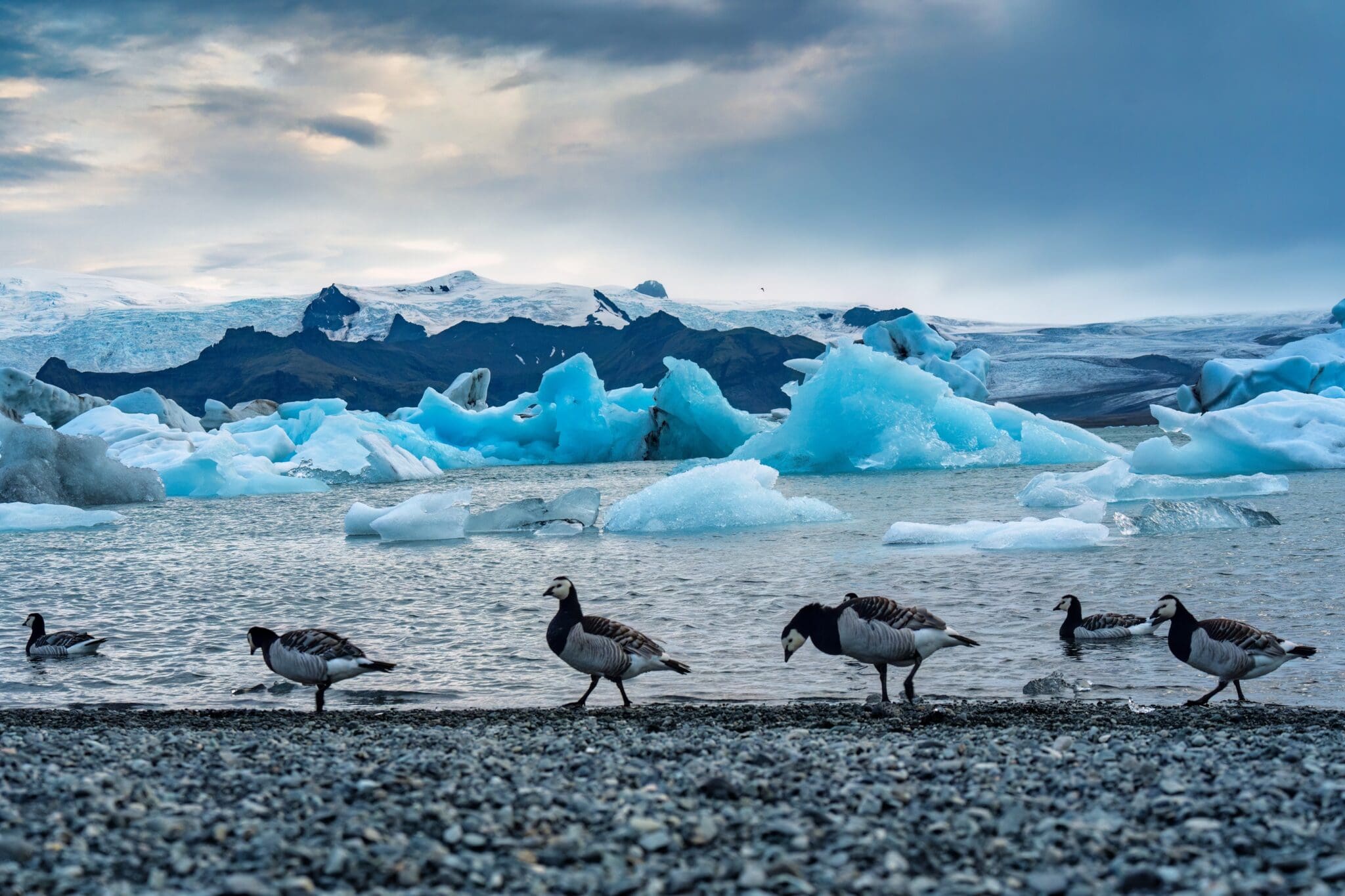 Diamond Beach, Black Sand Beach and Glacier Lagoon Day Tour guided in Chinese