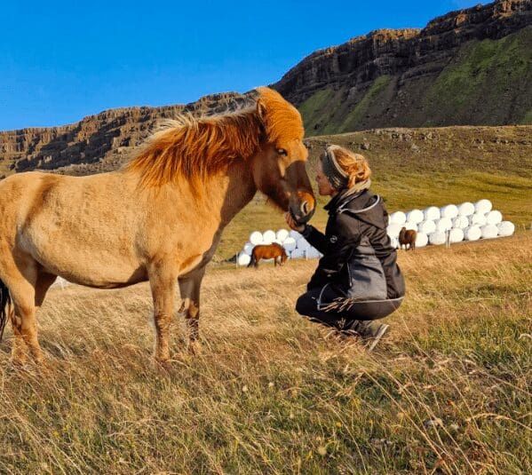 Privéboerderijbezoek en Silver Circle Day Tour in West-IJsland