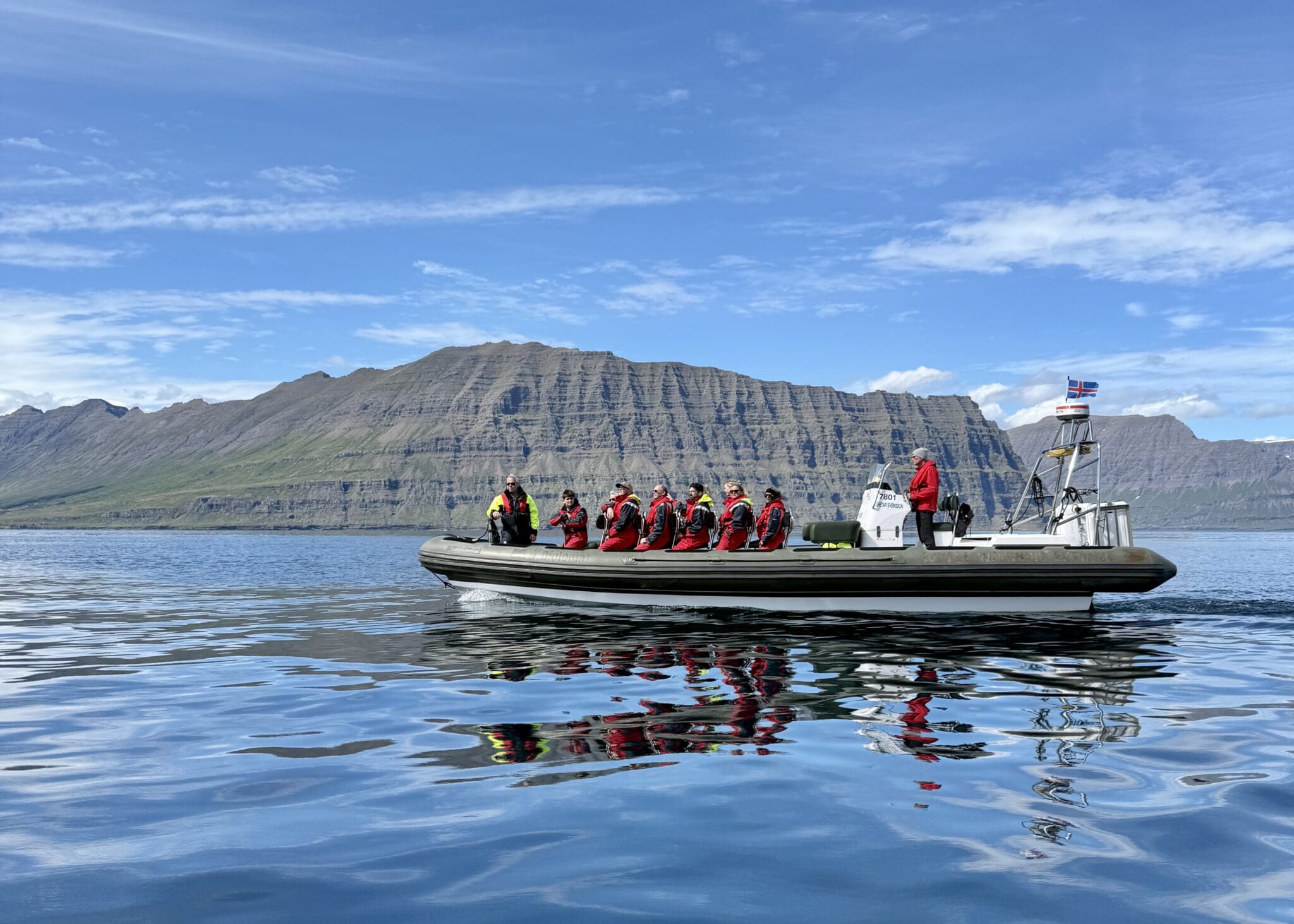 Neskaupstaður: Nature Tour by RIB Boat