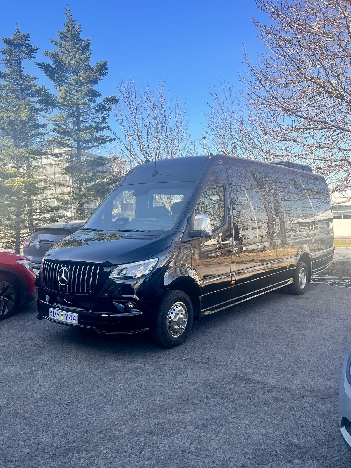 Private Transfer to or from Keflavik Airport To Reykjavik. Luxury Sprinter 19 Pax