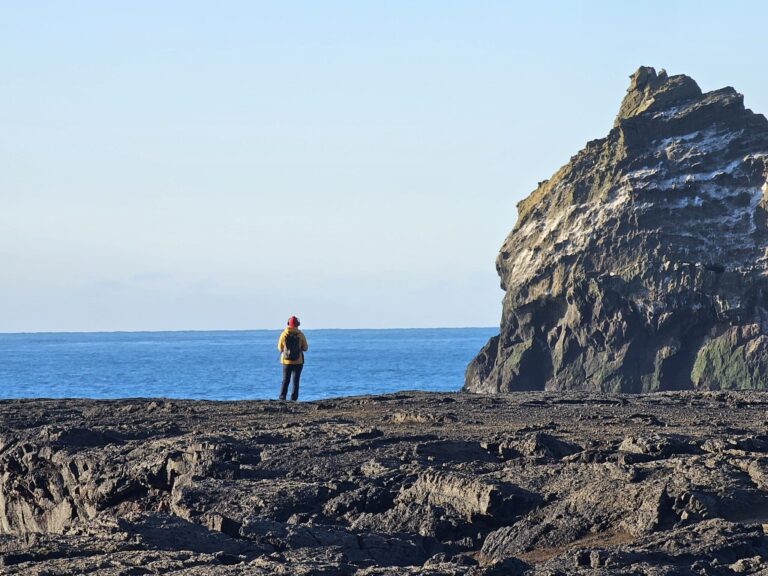 Private Reykjanes Peninsula Tour From KEF Airport or Reykjavik