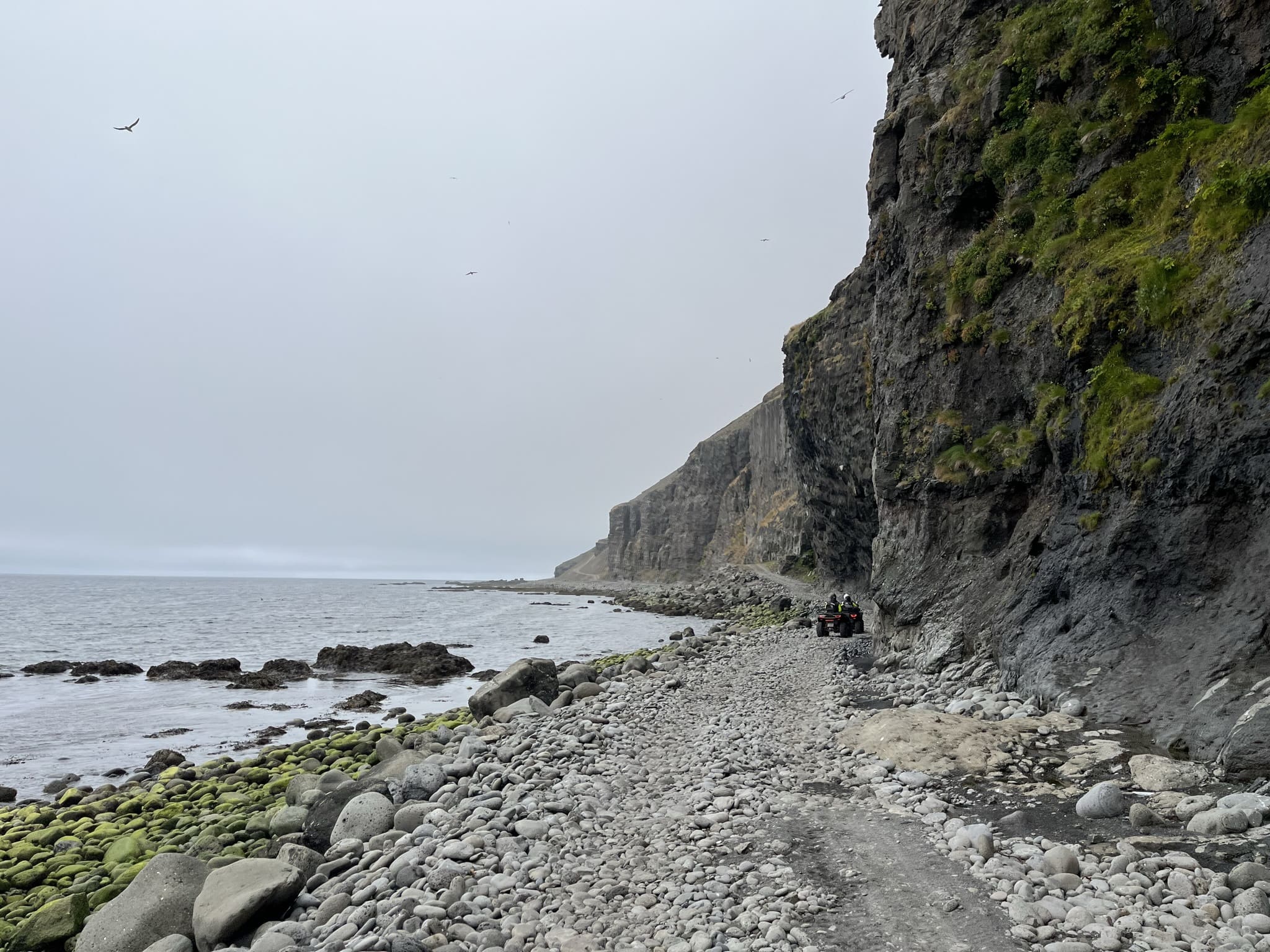 Sléttanes – Svalvogar