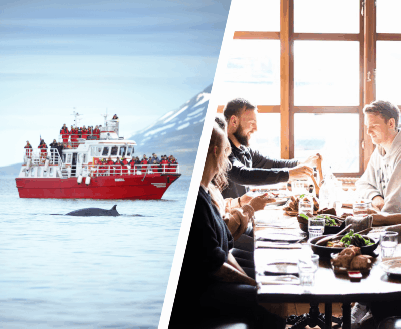 Akureyri: avistamiento de ballenas y paseo gastronómico
