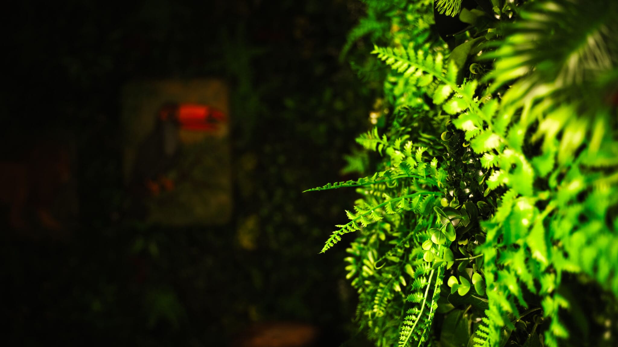 Jungle Drums – Escape Room