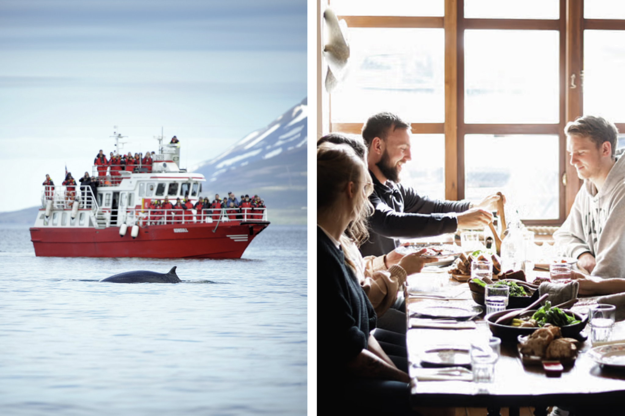 Akureyri : Observation des baleines et marche de la nourriture