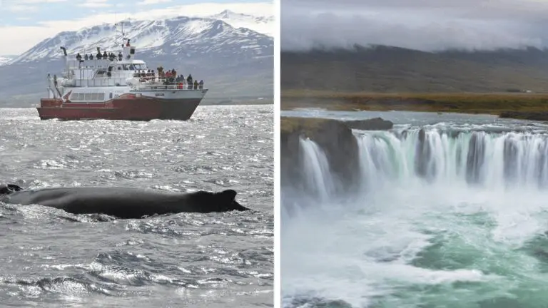 Avistamiento de Ballenas y Goðafoss