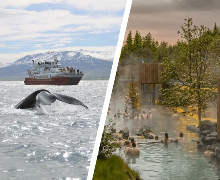 Akureyri: laguna forestal y avistamiento de ballenas
