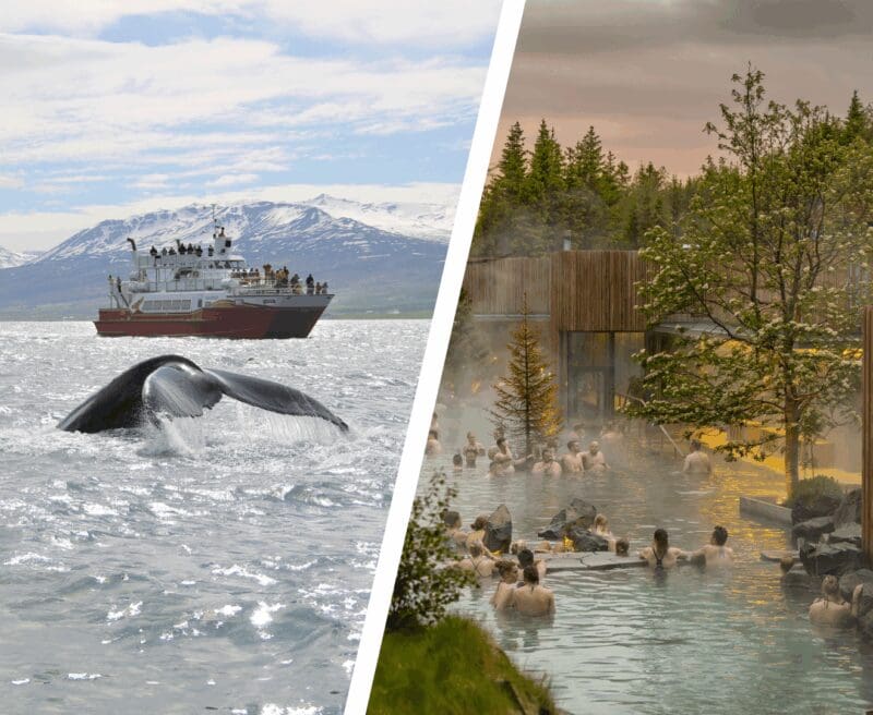 Akureyri: laguna forestal y avistamiento de ballenas