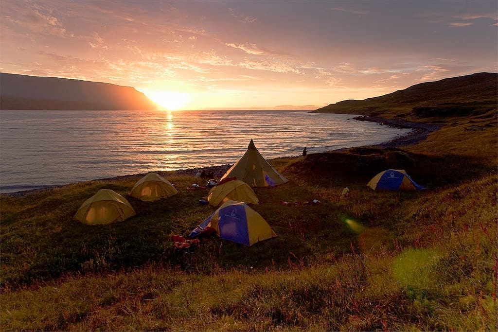Solar Eclipse Wild Camp Discovery