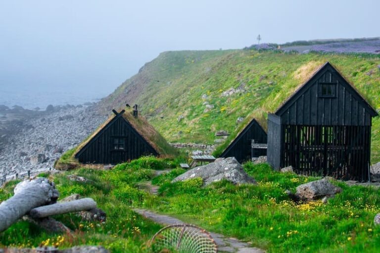 3 Tage – Westfjords Highlights Abenteuer