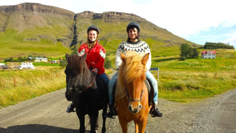 Horseback Riding & Farm Visit