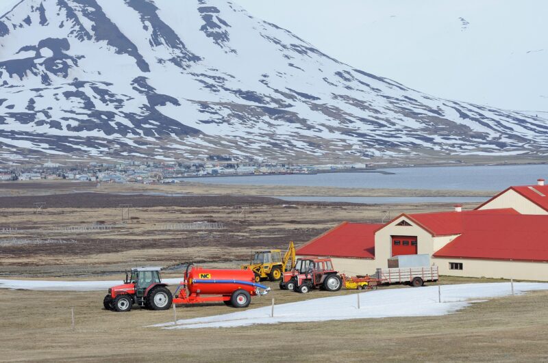 Dalvík