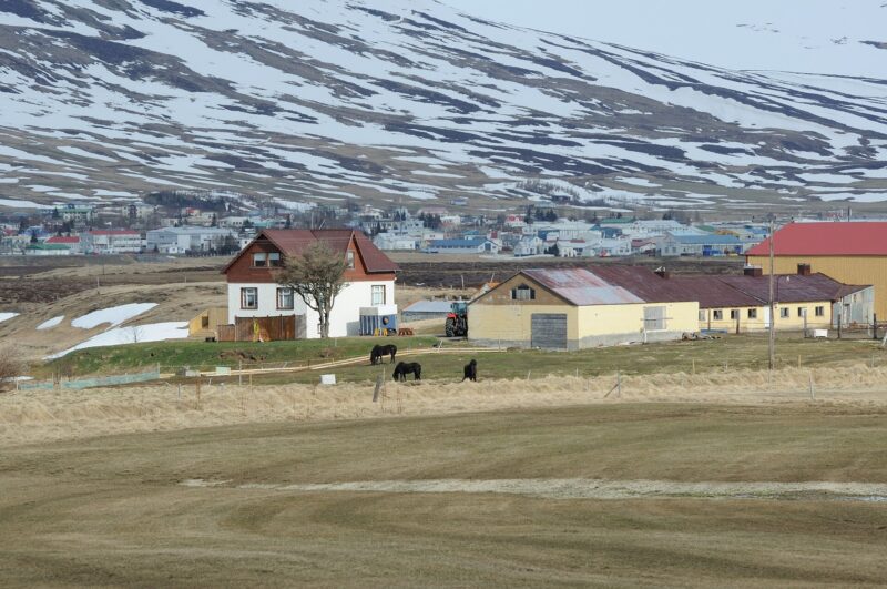Dalvík