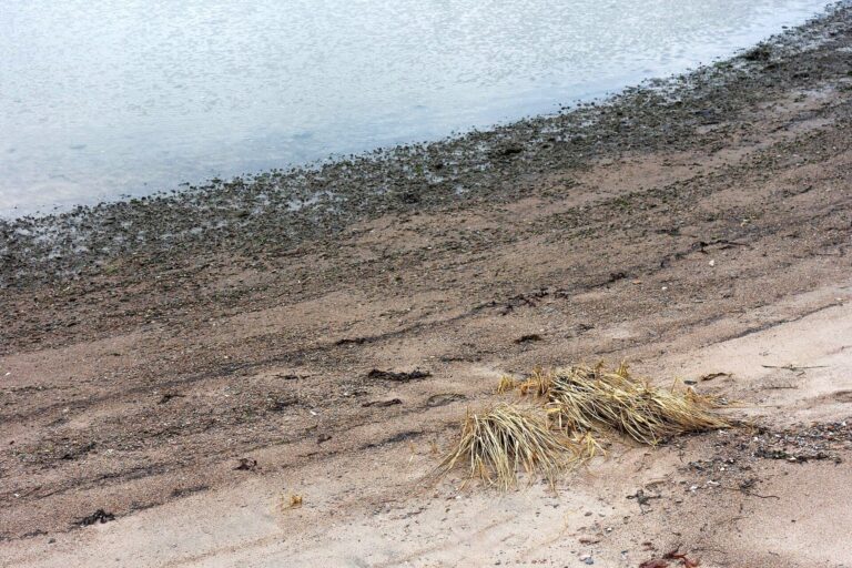Sandvík Beach