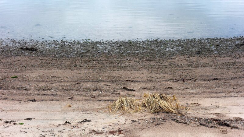 Sandvík Beach