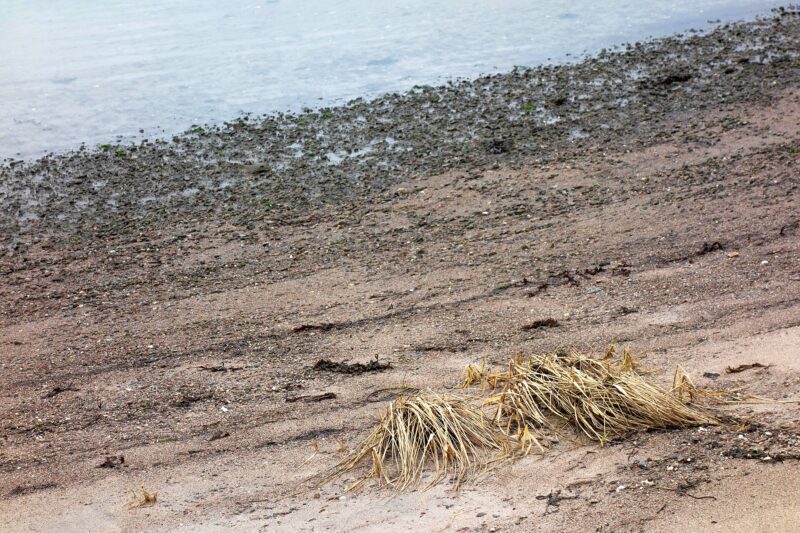 Sandvík Beach