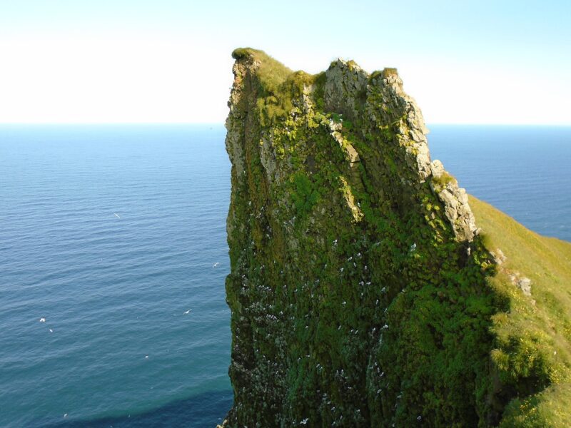 Hornstrandir