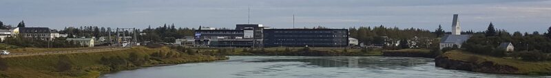 Selfoss