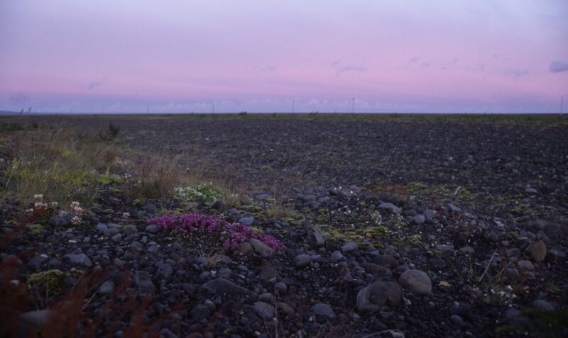 Skaftafell National Park