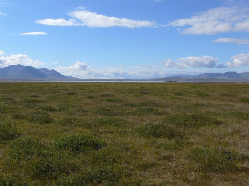 Víðidalur Valley