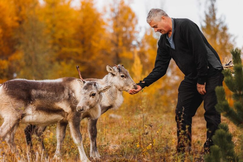From Antlers to Ancestors: East Iceland’s Reindeer and History Tour