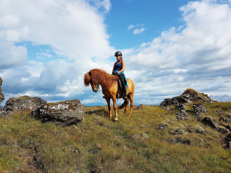 2-Hour Horseback Riding Tour