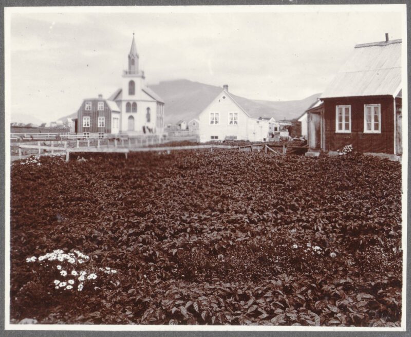 Akrane