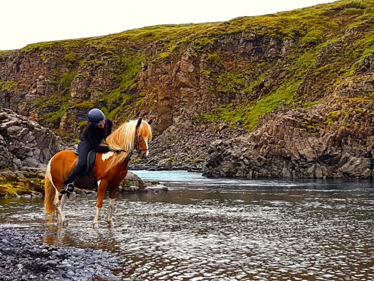 Private Horseback Riding Day Tour