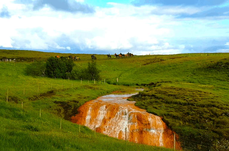 Horseback Riding Day Tour
