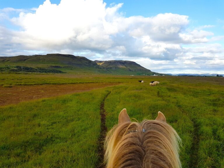 Private 3-Hour Horseback Riding Tour