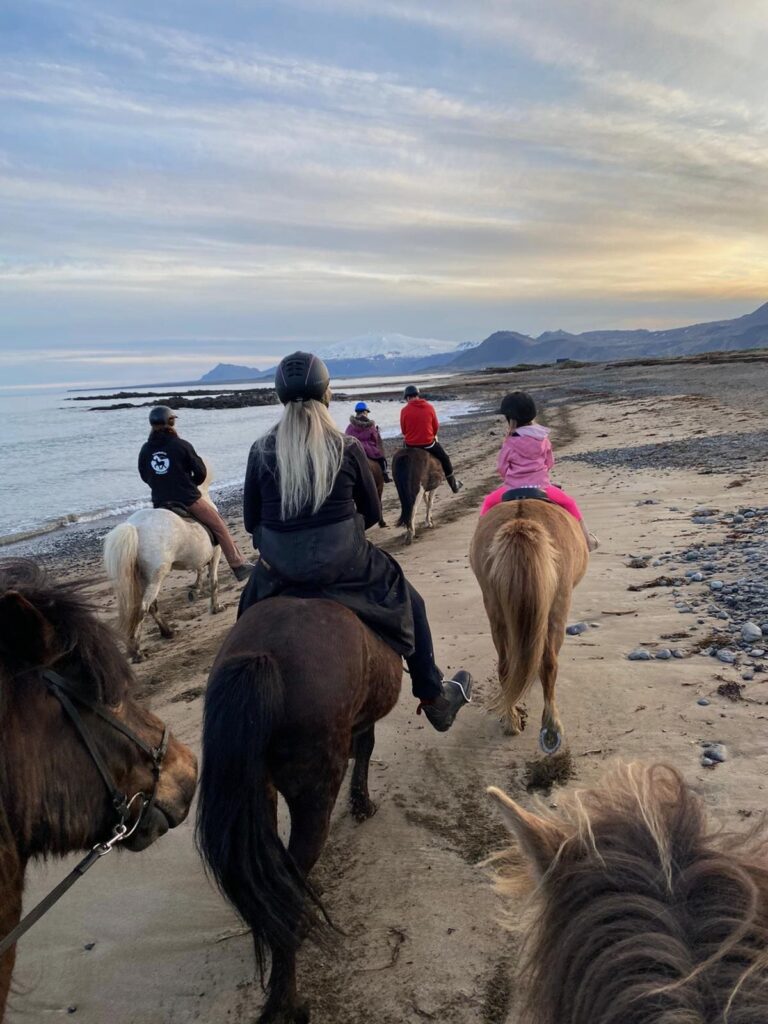 Short beach – horseback riding tour on Snæfellsnes