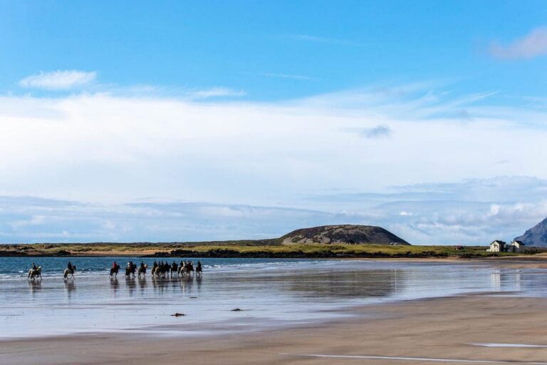 Buðir, Beach & Lavafield – horseback riding tour on Snæfellsnes