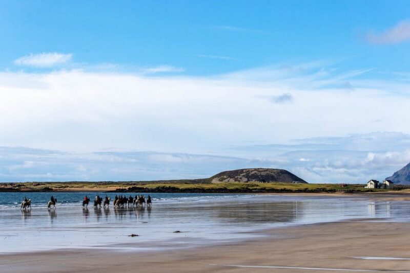 Buðir, Beach & Lavafield – horseback riding tour on Snæfellsnes
