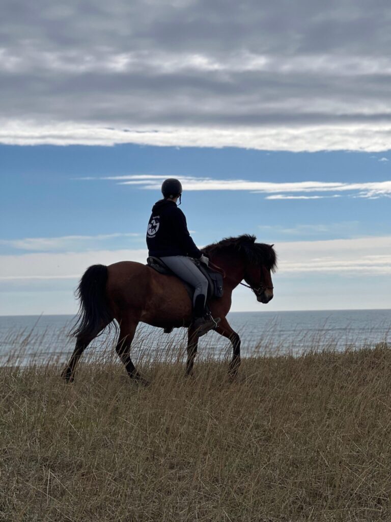 Beginner Track – horseback riding tour on Snæfellsnes