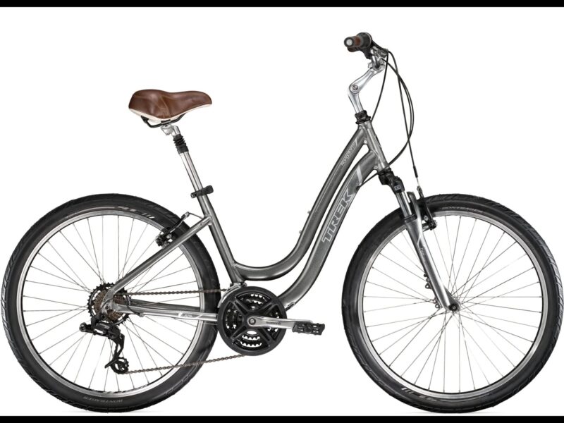 Reykjavik City Bike Rental