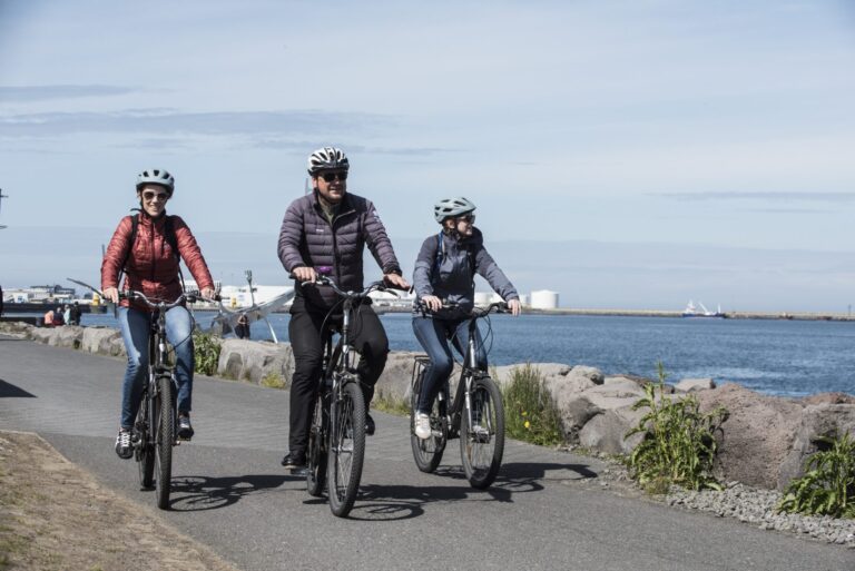 Coast of Reykjavik Private Bike Tour